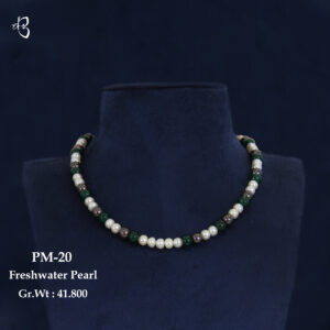 PM-20